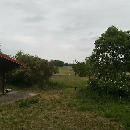 New Home Langendorf  Eksteriør billede