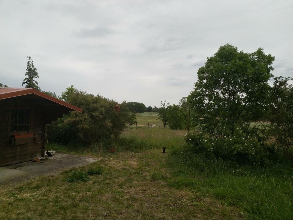 New Home Langendorf  Eksteriør billede